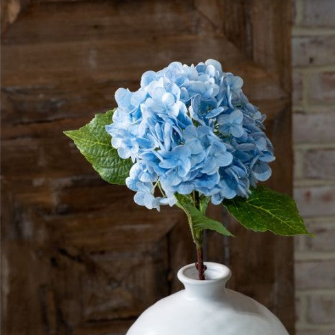 Hydrangea Stems