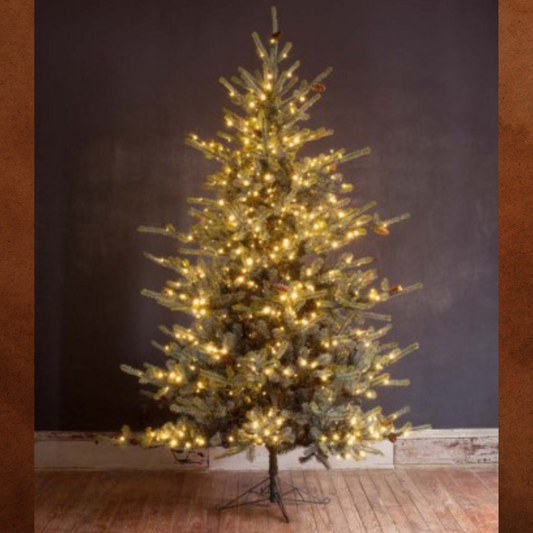 Park Hill Blue Spruce Christmas Tree 9' - For Local Pick Up ONLY