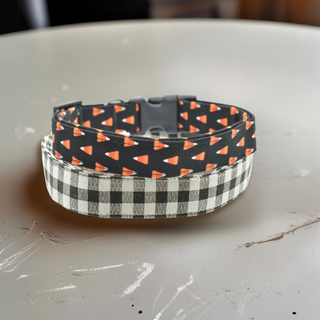 Candy Corn Collar