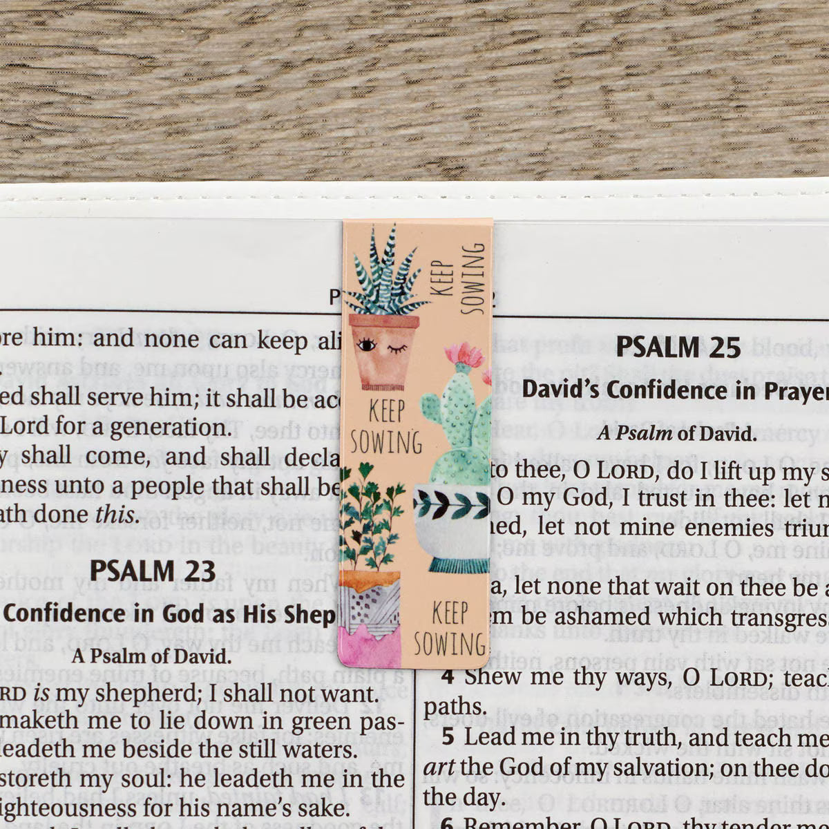 Decorative bookmark with cactus design on a Bible