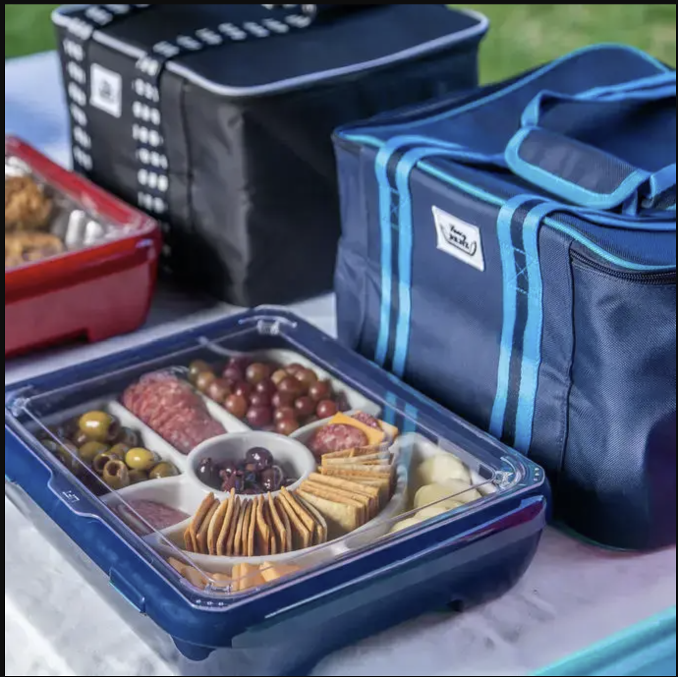 Fancy Panz Insulated Carrier Bags