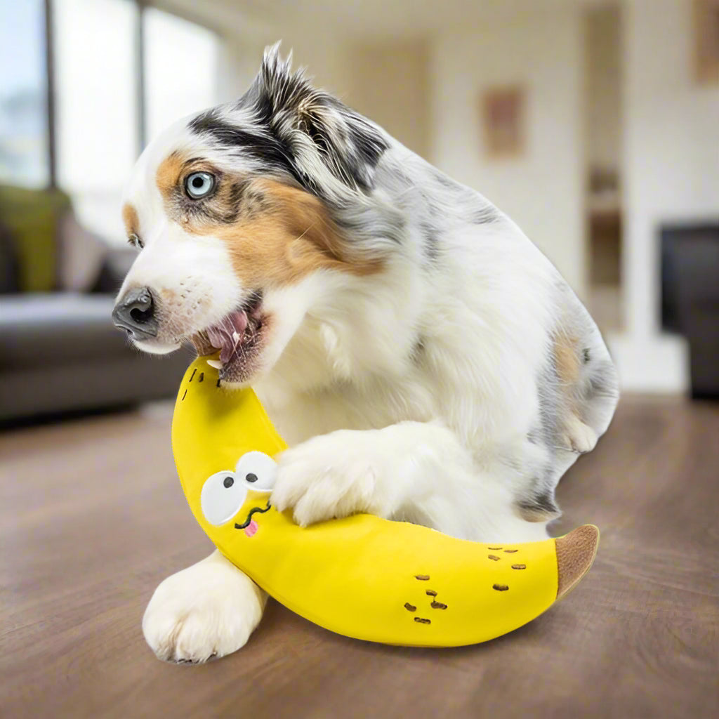 Bruiser Banana Dog Toy