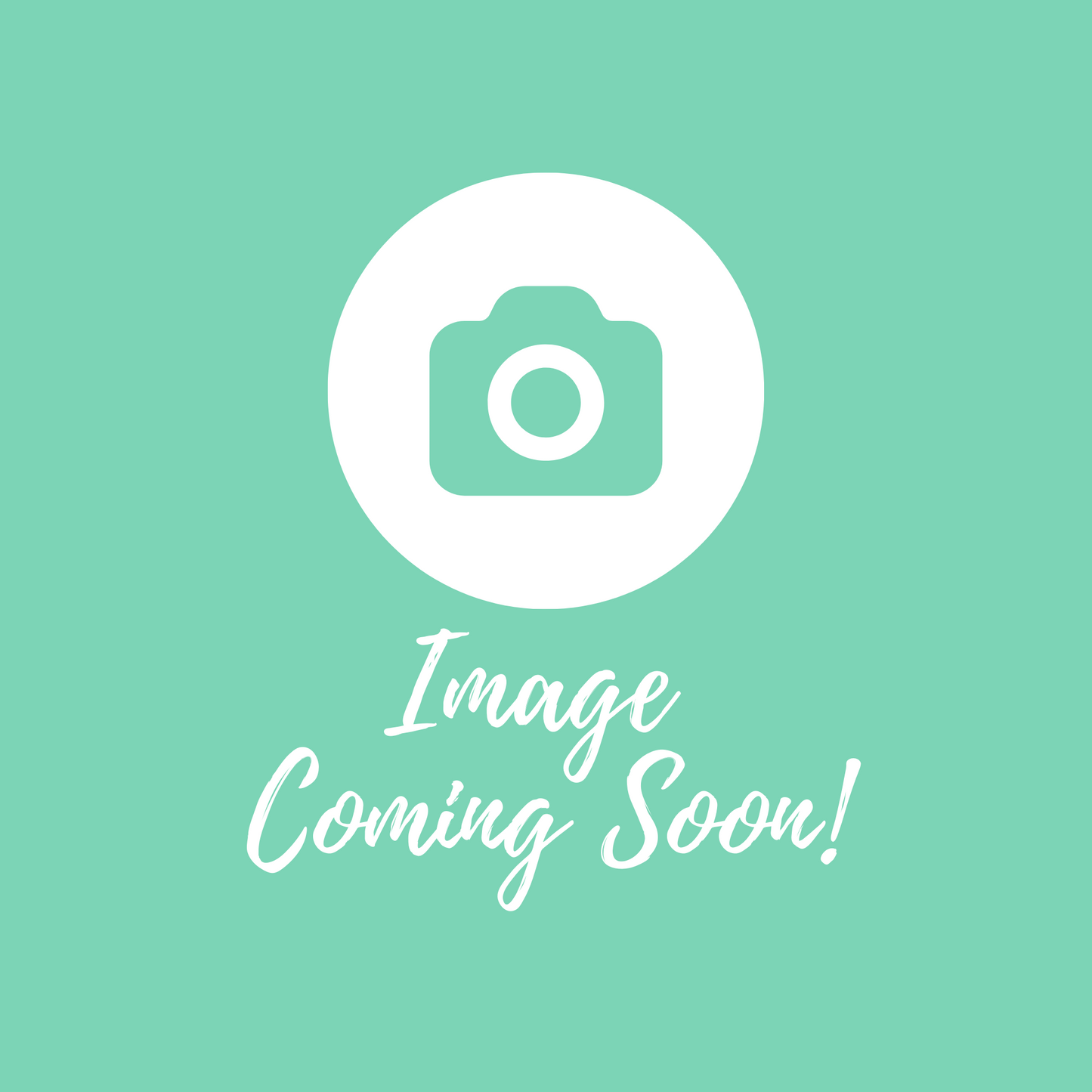 Fancy Panz Reuseable Party Plates