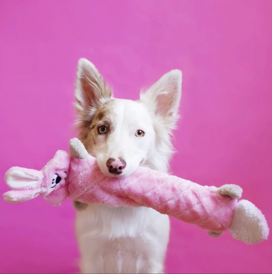 Jigglerz Dog Toy Bunny