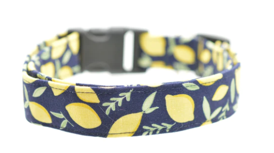Lemons Dog Collar