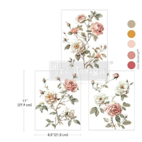 Middy Decor Transfer® - Creamy Blush Blooms