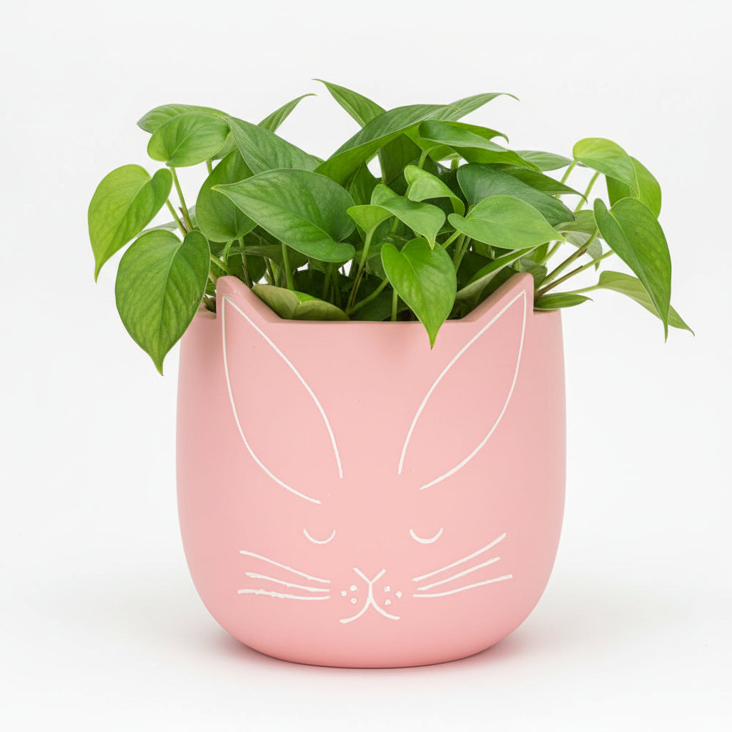 A pink bunny face planter with a plant on a white background.