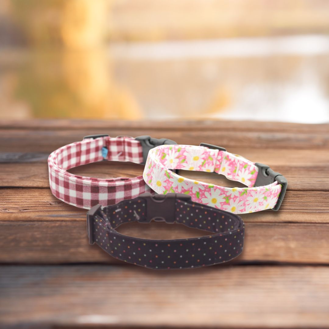 Pink Daisy Collar