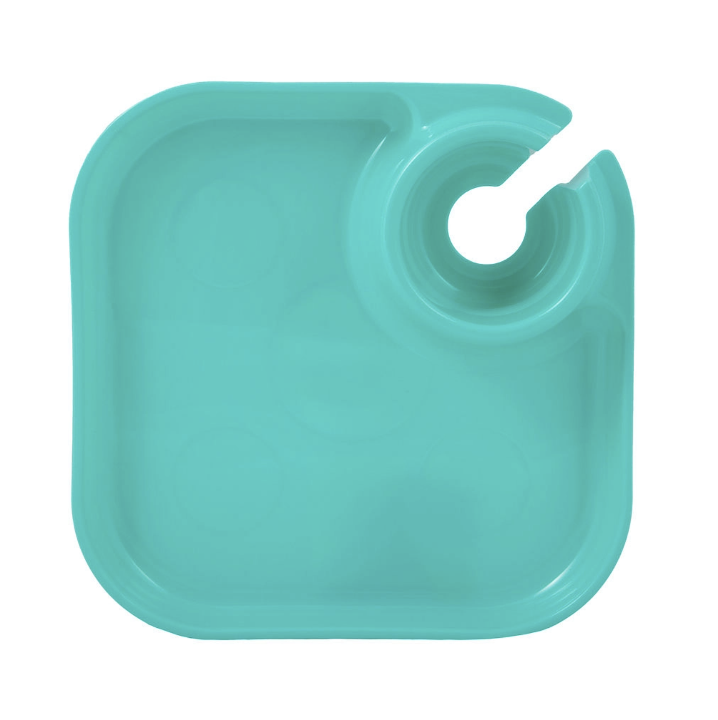 Fancy Panz Reuseable Party Plates
