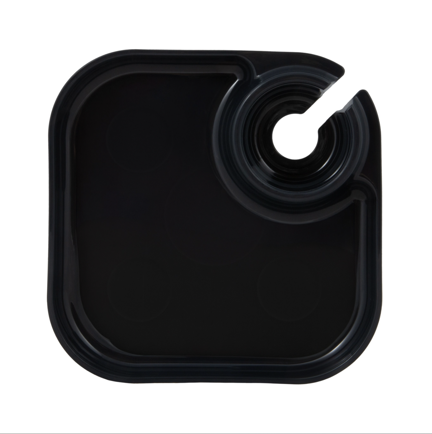 Fancy Panz Reuseable Party Plates