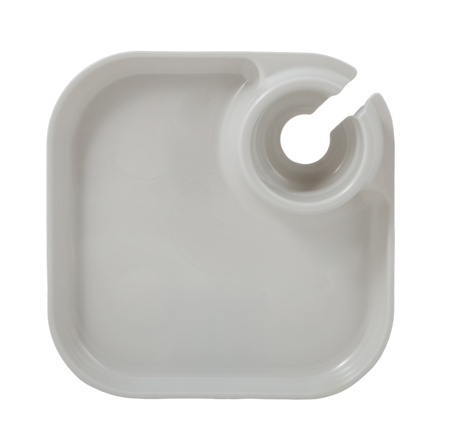 Fancy Panz Reuseable Party Plates