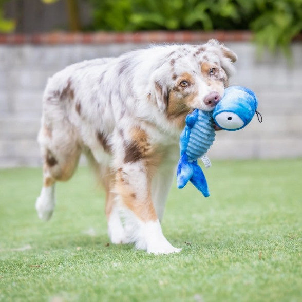Slappies Jack Hammerhead Dog Toy