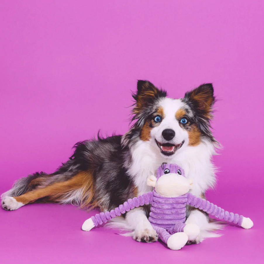 Spencer the Crinkle Monkey Small Purple Dog Toy