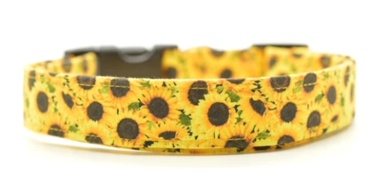 Sunflower Collar