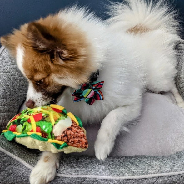 Taco Tuesday Dog Toy