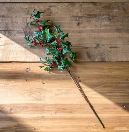 Traditional Holly Stem