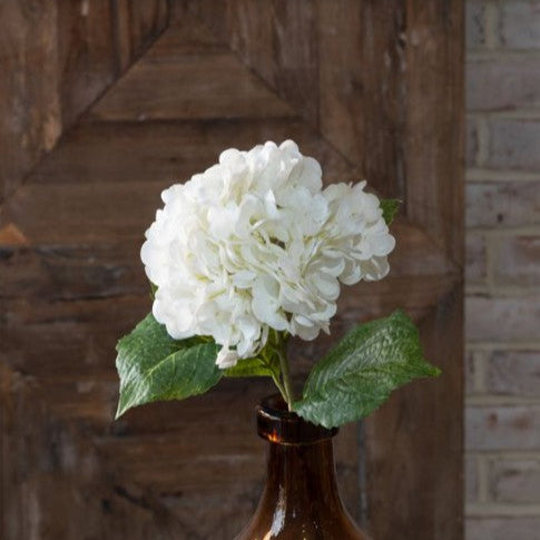Hydrangea Stems