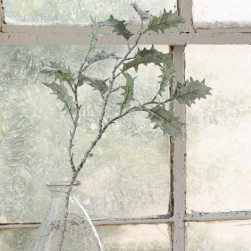 Frosted Holly Spray