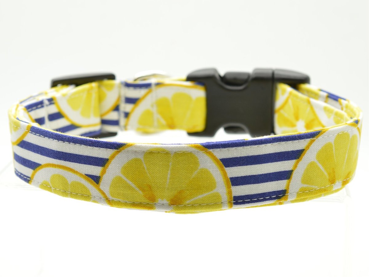 Lemon Stripe Collar