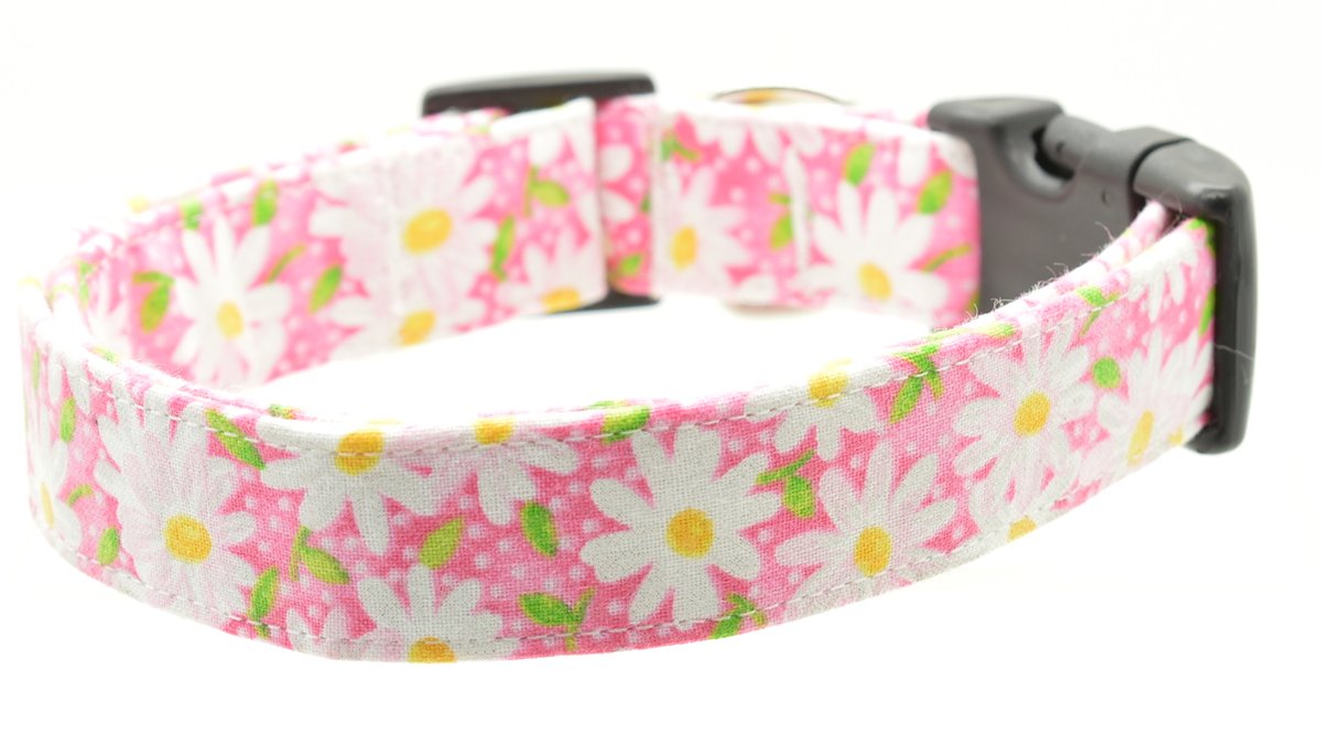 Pink Daisy Collar