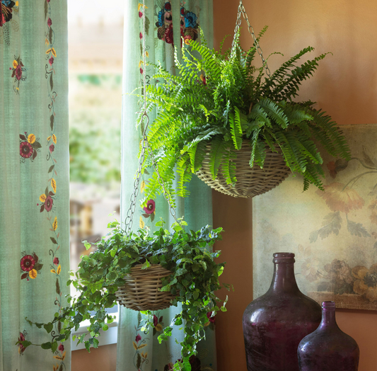 Rattan Hanging Planter