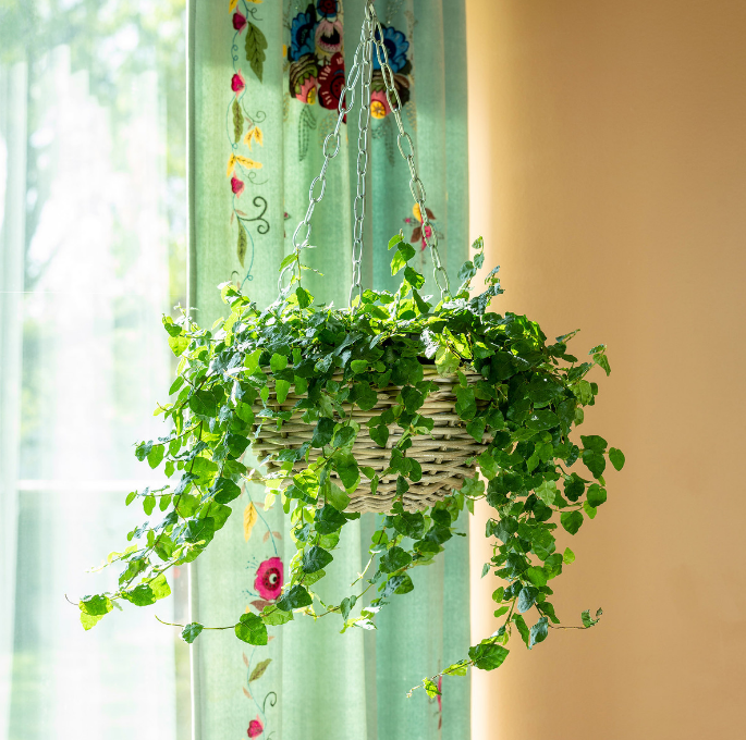 Rattan Hanging Planter
