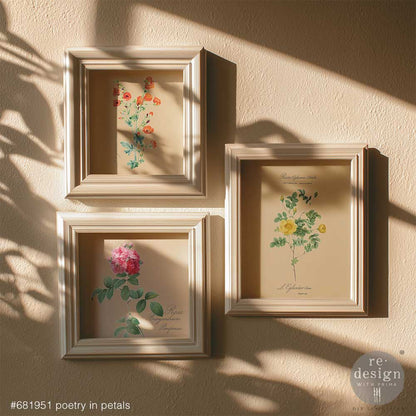 Three framed botanical prints made from the Poetry in Petals H2O transfers on a textured wall with sunlight casting shadows.