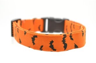 Bats Collar