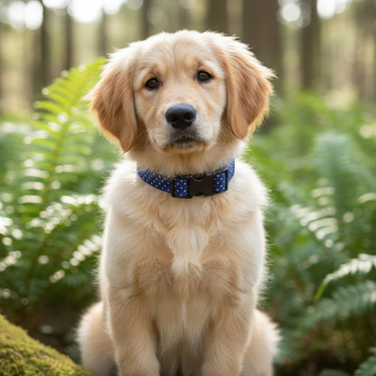 Blue pin dot dog collar with white polka dots and a black buckle shown on a retriever puppy in a forest.