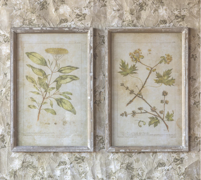 Pair of Botanical Prints - Local Pick Up ONLY