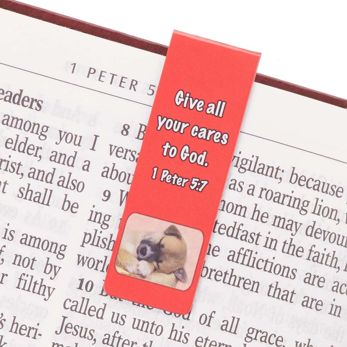 Special Treasure Magnetic Bookmark Set - Deuteronomy 14:2