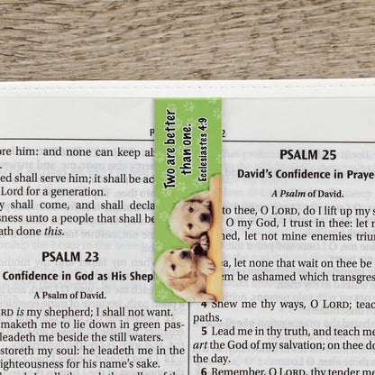 Special Treasure Magnetic Bookmark Set - Deuteronomy 14:2