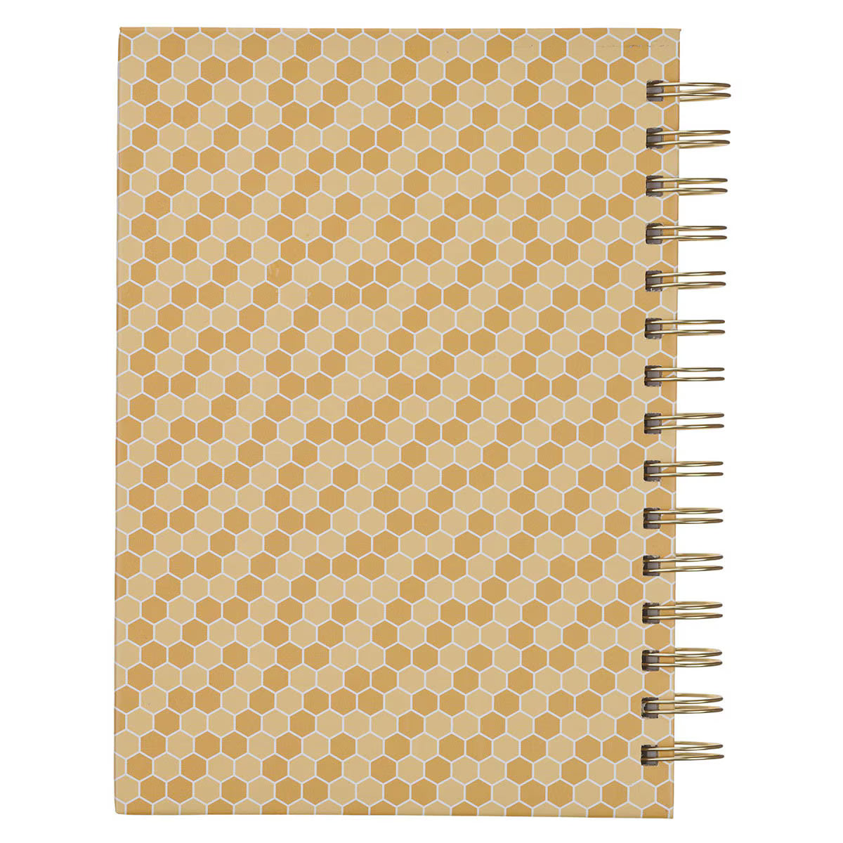 Journal Spiral-bound Amazing Teacher