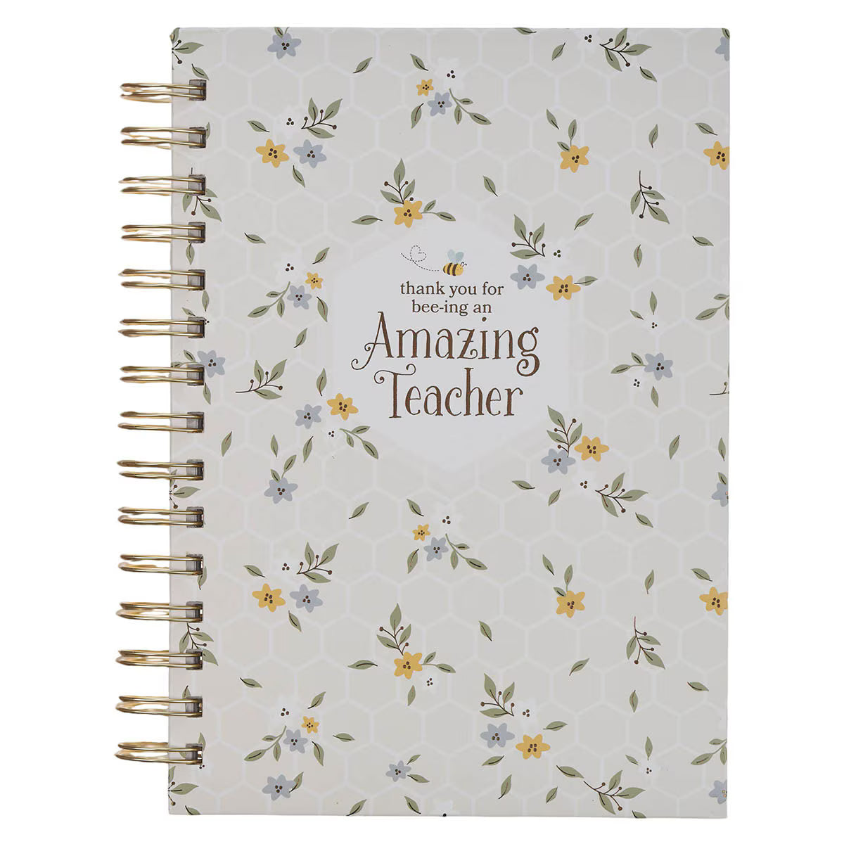 Journal Spiral-bound Amazing Teacher