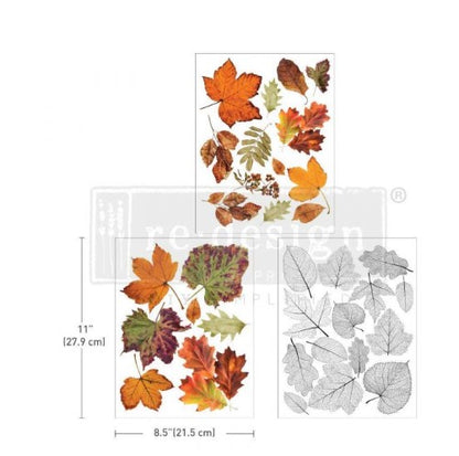 Middy Decor Transfer® - Crunchy Leaves