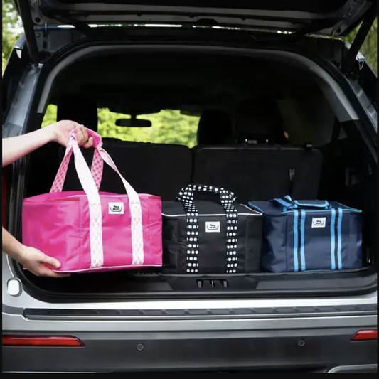 Fancy Panz Insulated Carrier Bags