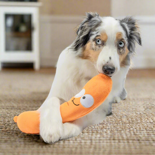 Sammy Sausage Dog Toy