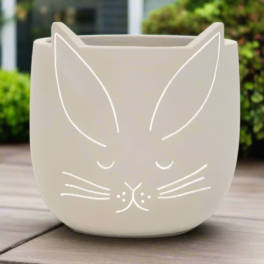 Bunny Face Planter