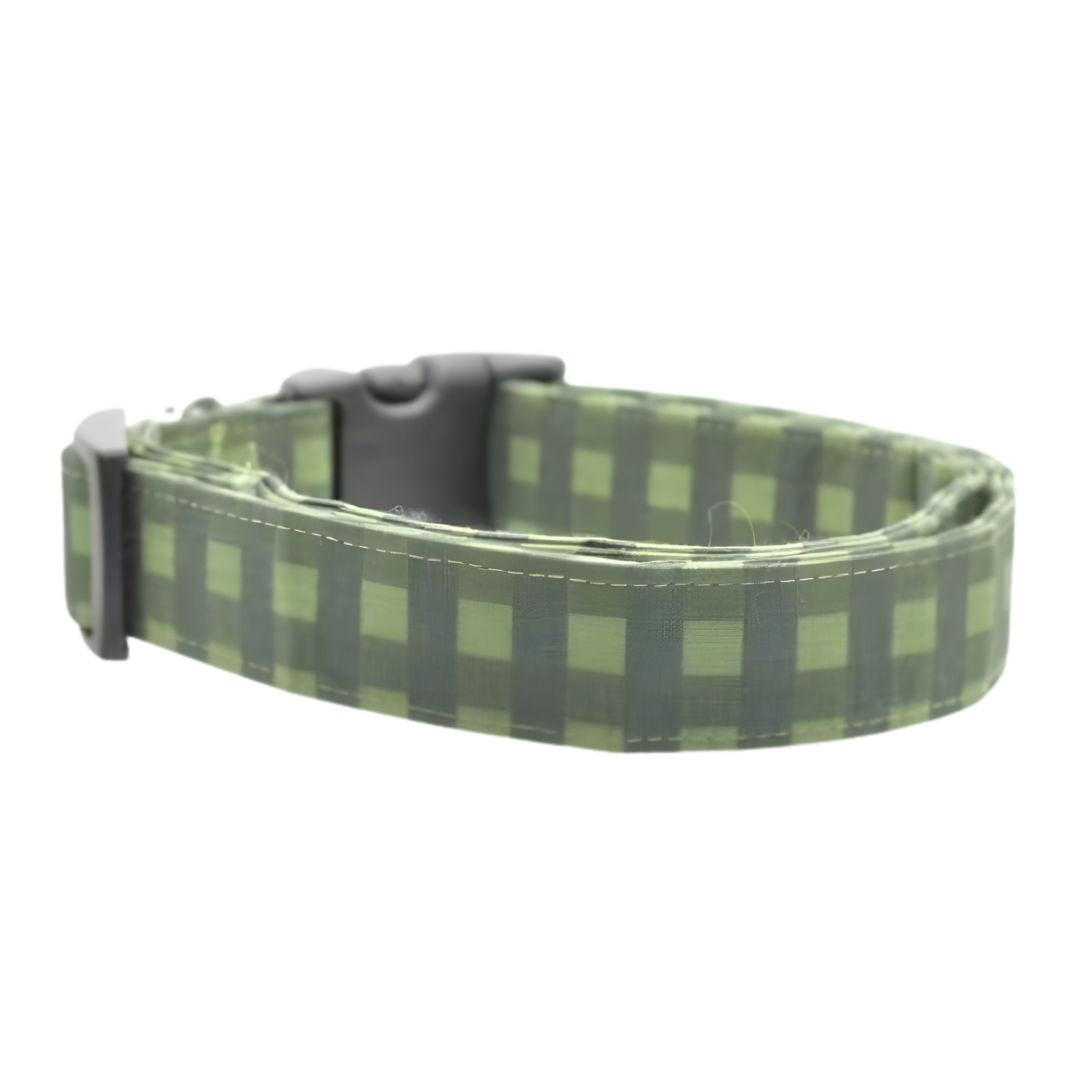 Green buffalo checkered dog collar on a white background