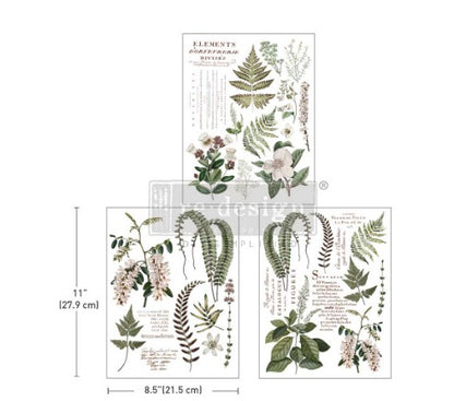 Middy Decor Transfer® - Greenery Grace