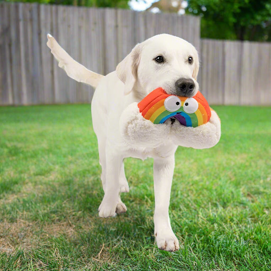 Happy Rainbow Dog Toy