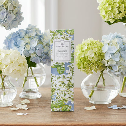 Greenleaf Hydrangea slim sachet on a table with vases of green, blue, and white hydrangea around it.