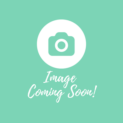 Fancy Panz Reuseable Party Plates