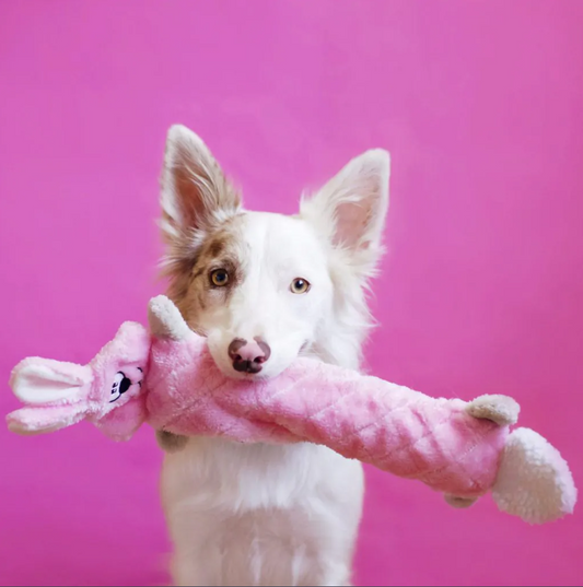 Jigglerz Dog Toy Bunny