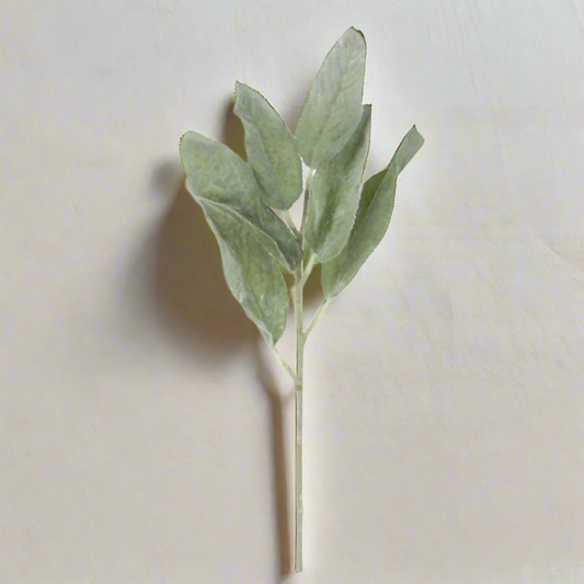 Lamb's Ear Stem