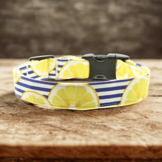 Lemon Stripe Collar