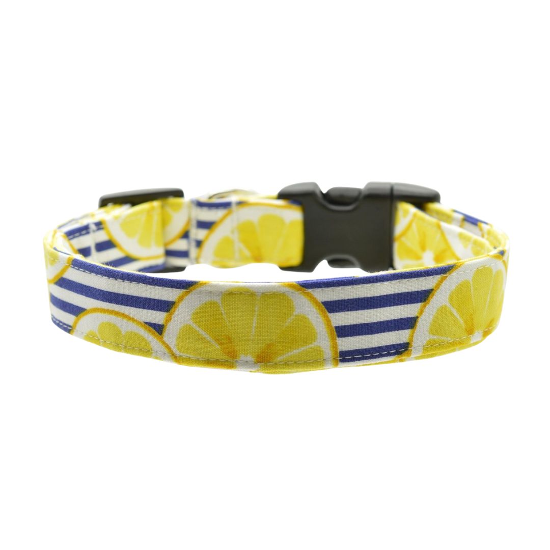 Lemon Stripe Collar