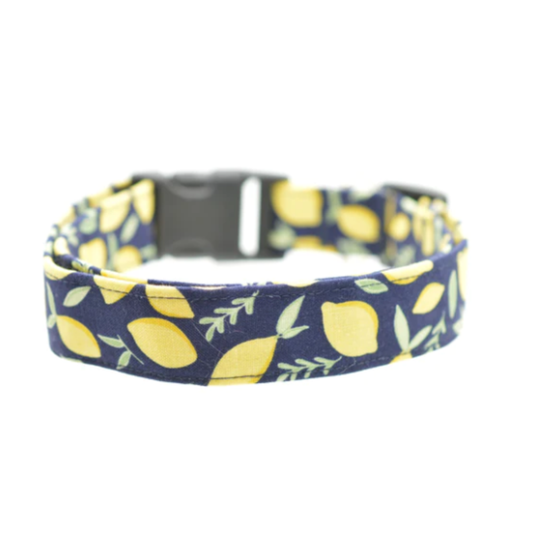 Navy blue dog collar with yellow lemon pattern on a white background