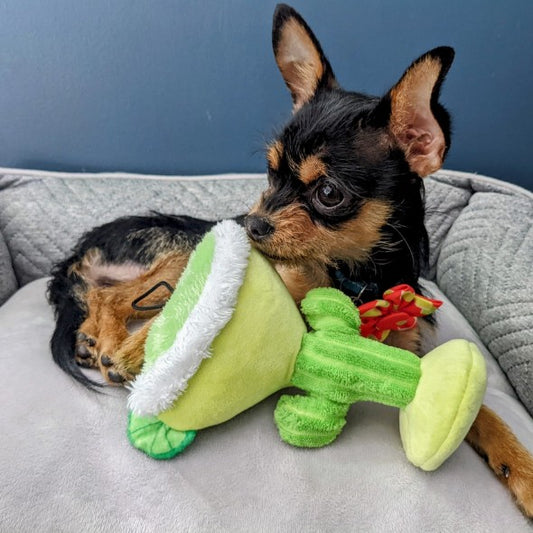 Margarita Loco Dog Toy