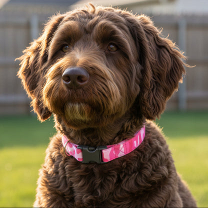 Pink camouflage dog collar with a black buckle on a chocolate labradoodle in a yard